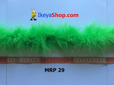 MRP 29  large2